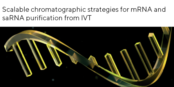 Scalable chromatographic strategies for mRNA and saRNA purification from IVT