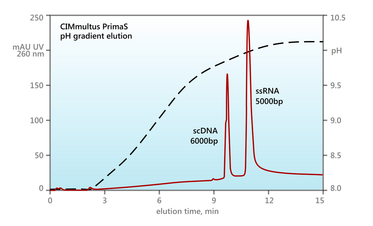 PrimaS RNA purification