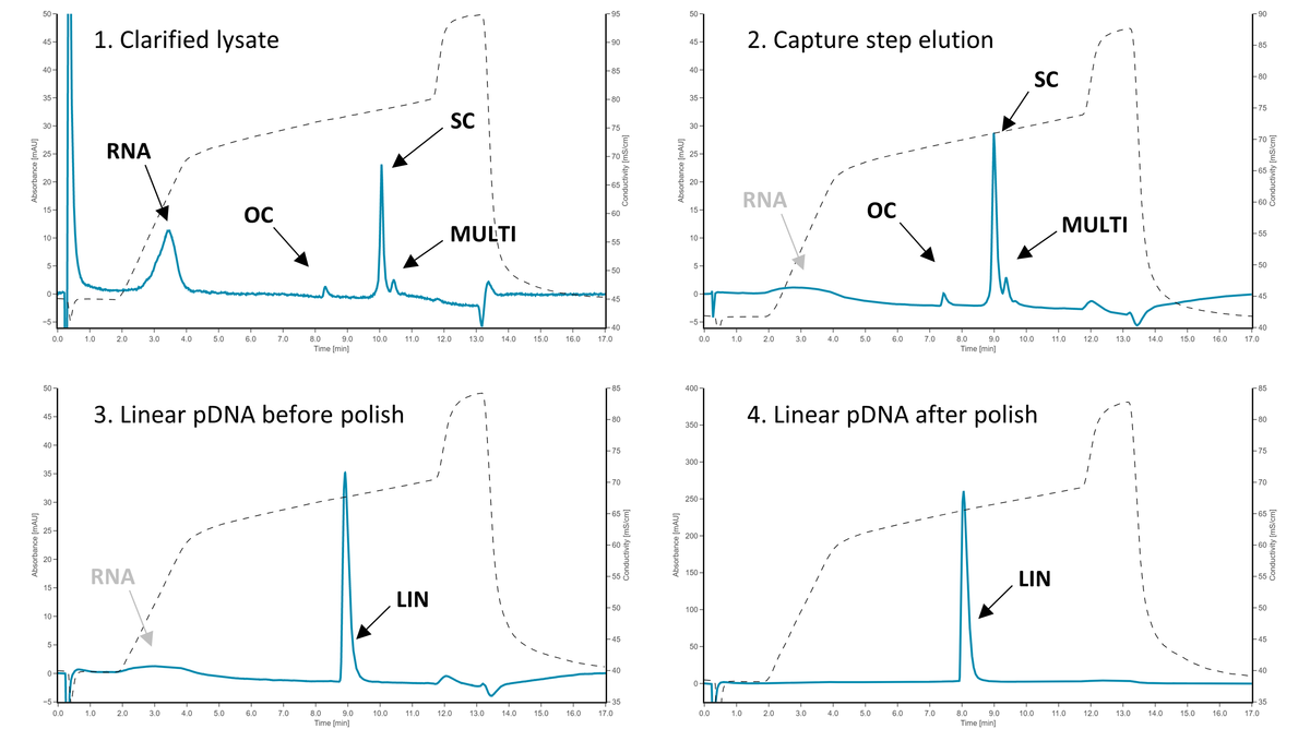 pDNA processing steps graphs