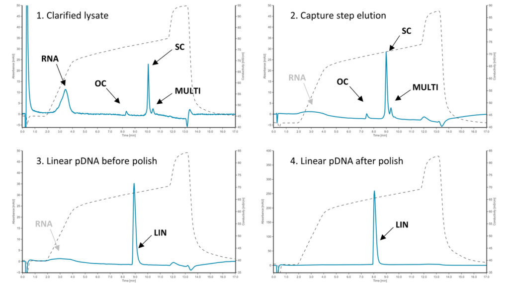 PATfix-pDNA-graphs PATfix-pDNA
