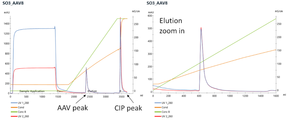 so3_aav8-ver-2 AAV process: Example SO3 Chromatogram
