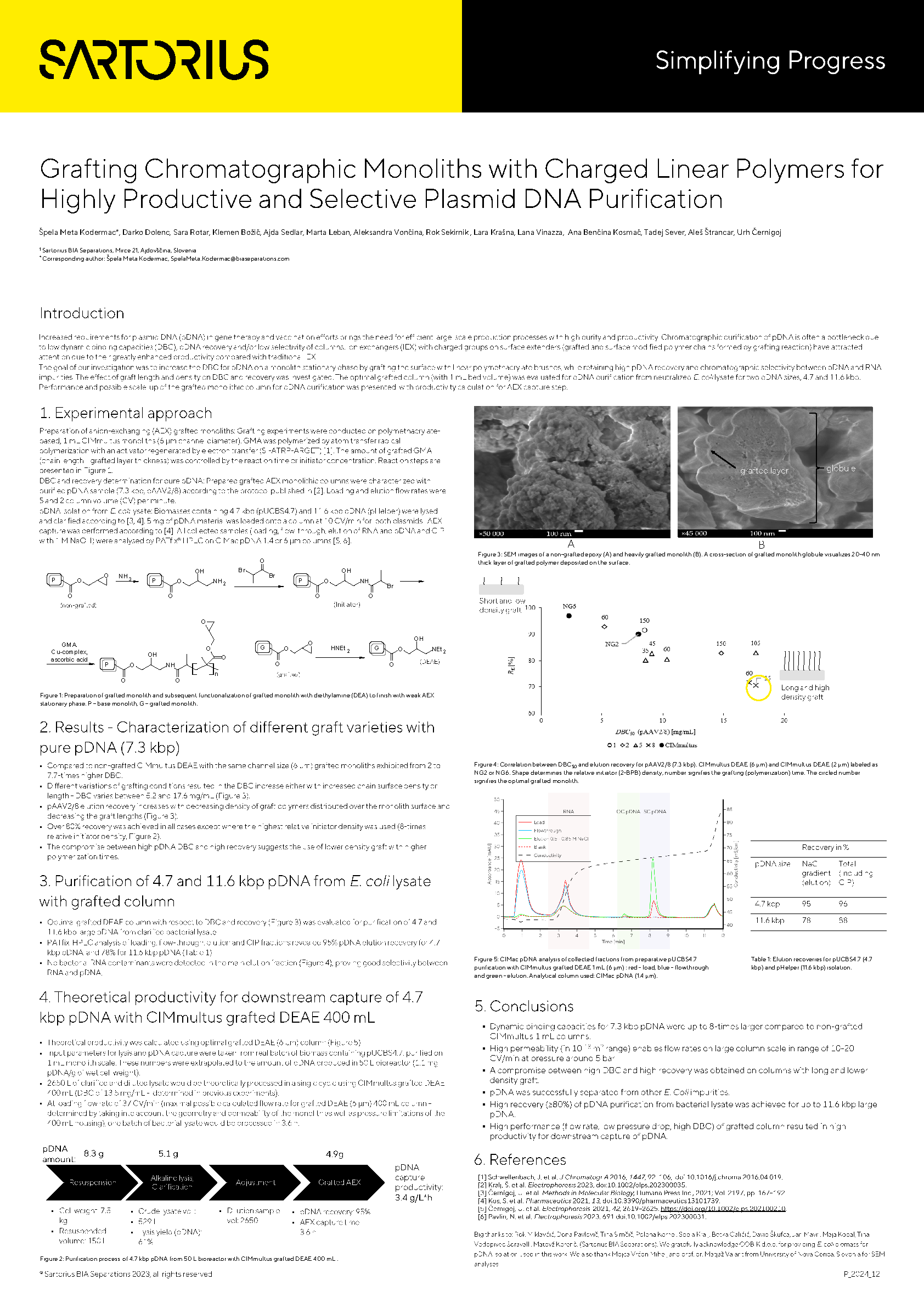 Grafting Chromatographic Monoliths with Charged Linear Polymers