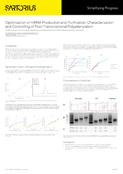 Optimization of mRNA Production and Purification | Characterization And ...