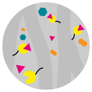 Affinity