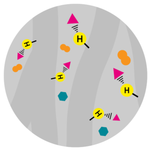 Hydrogen Bond