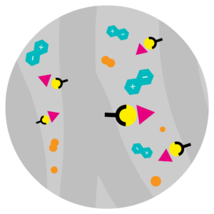 Ion Pair Reverse-Phase