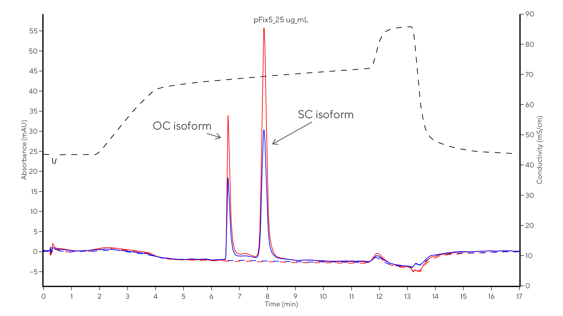 pdna_kromatogram