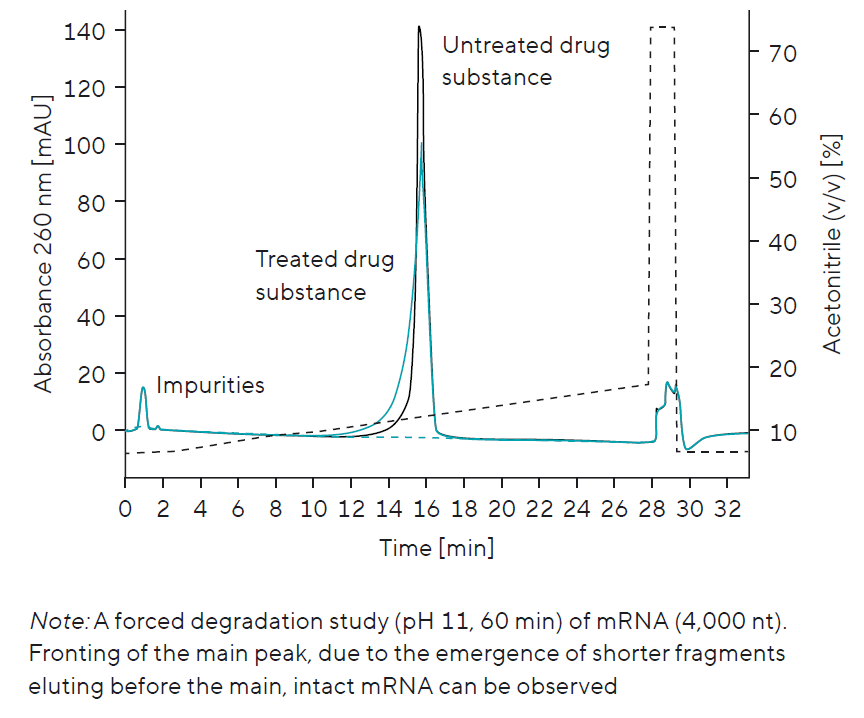 mrna-patfix-fig6