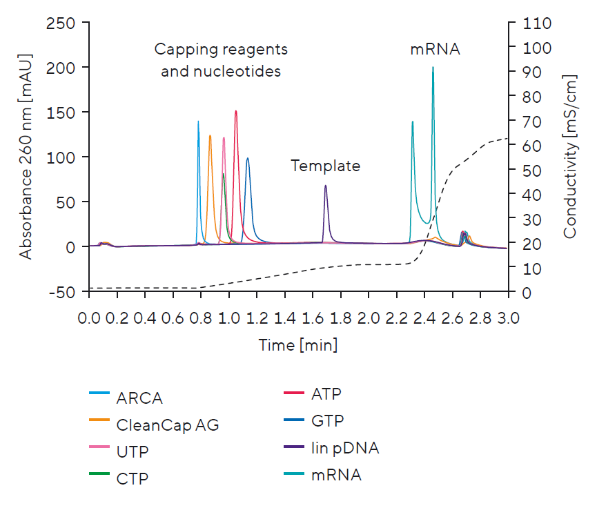 mrna_patfix-separation-ivt-components
