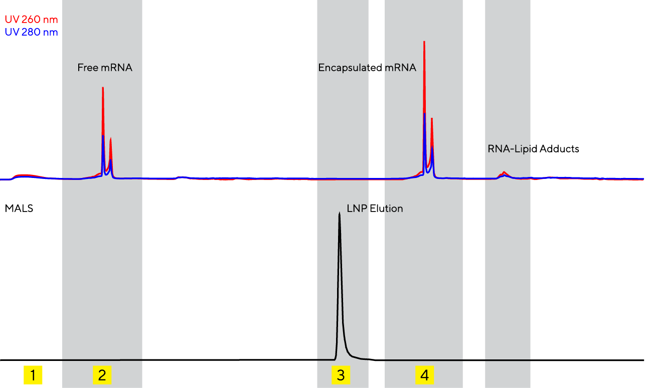 patfix_lnp-platform_chromatogram