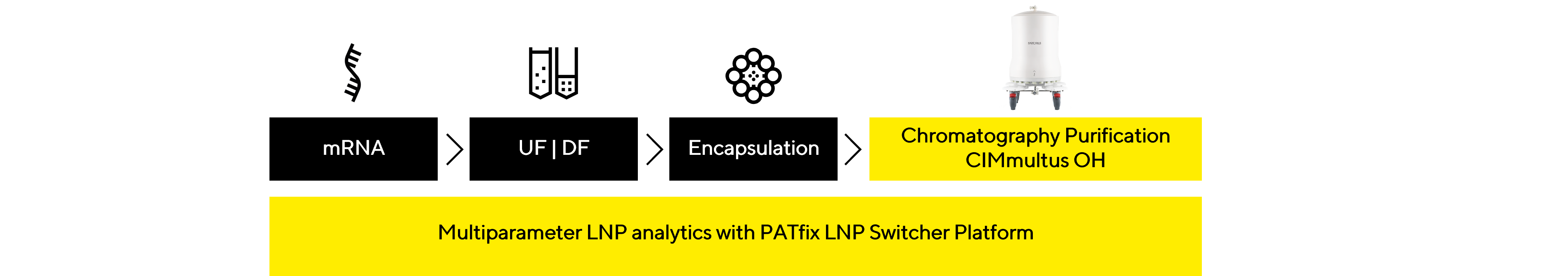 lnp-process
