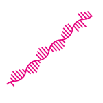 RNA illustration